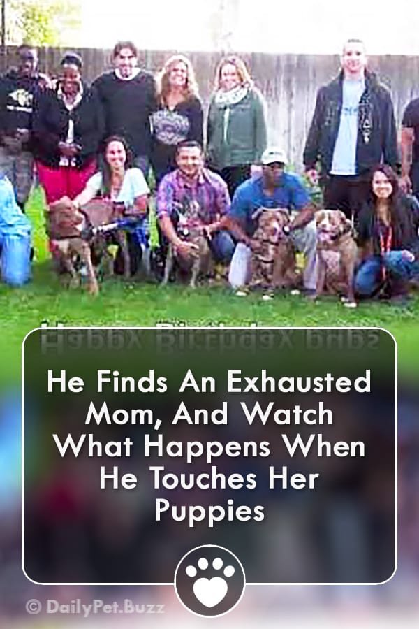 He Finds An Exhausted Mom, And Watch What Happens When He Touches Her Puppies