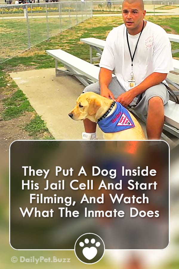 They Put A Dog Inside His Jail Cell And Start Filming, And Watch What The Inmate Does