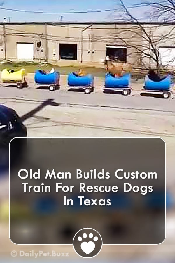 Old Man Builds Custom Train For Rescue Dogs In Texas