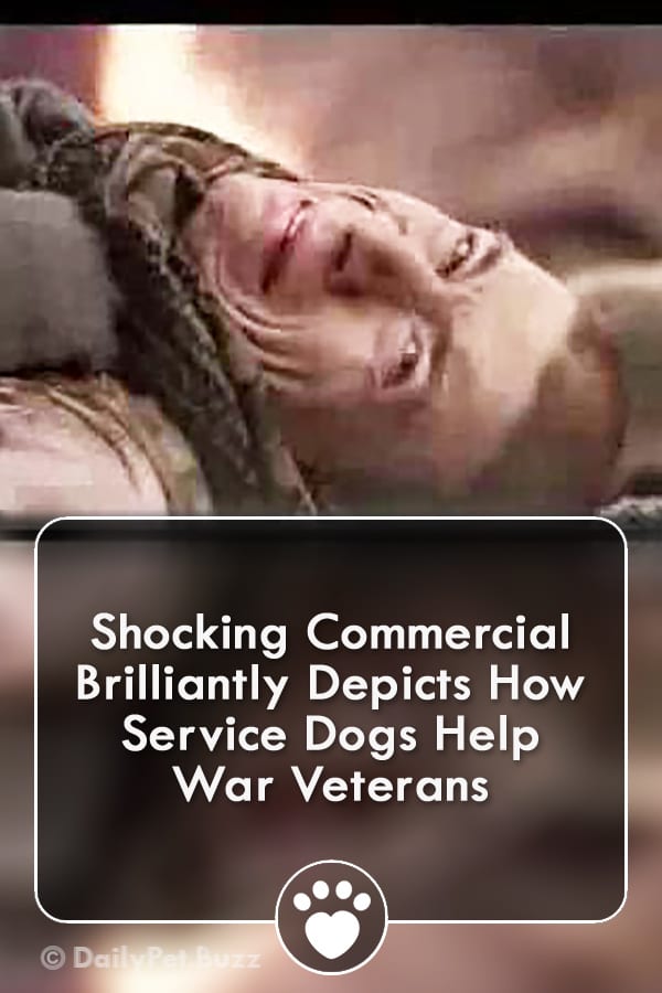 Shocking Commercial Brilliantly Depicts How Service Dogs Help War Veterans