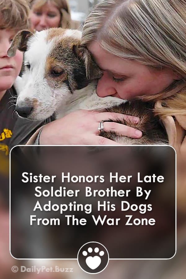 Sister Honors Her Late Soldier Brother By Adopting His Dogs From The War Zone
