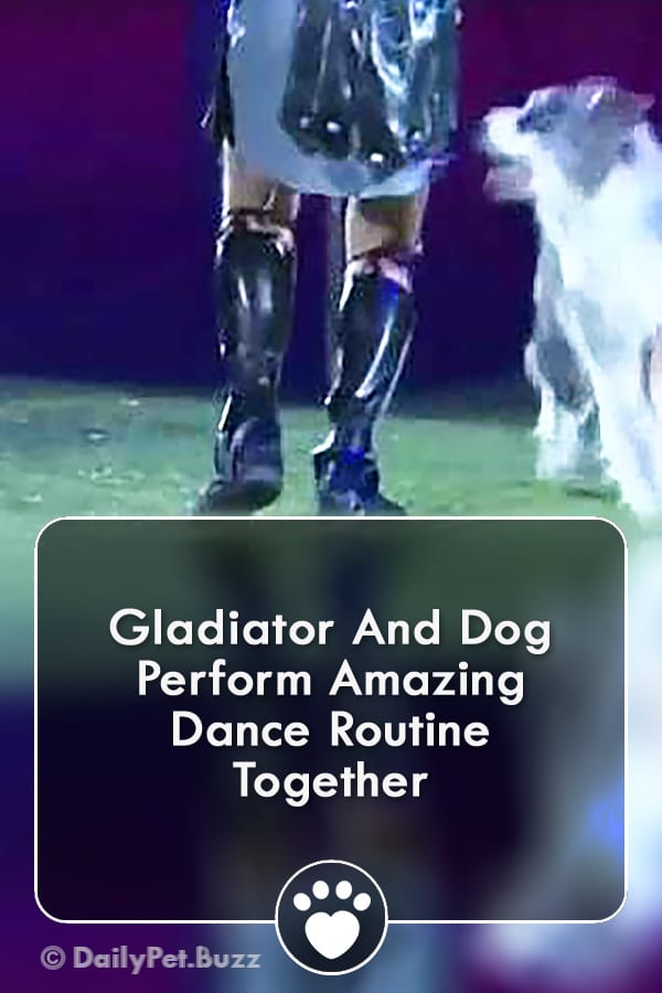 Gladiator And Dog Perform Amazing Dance Routine Together