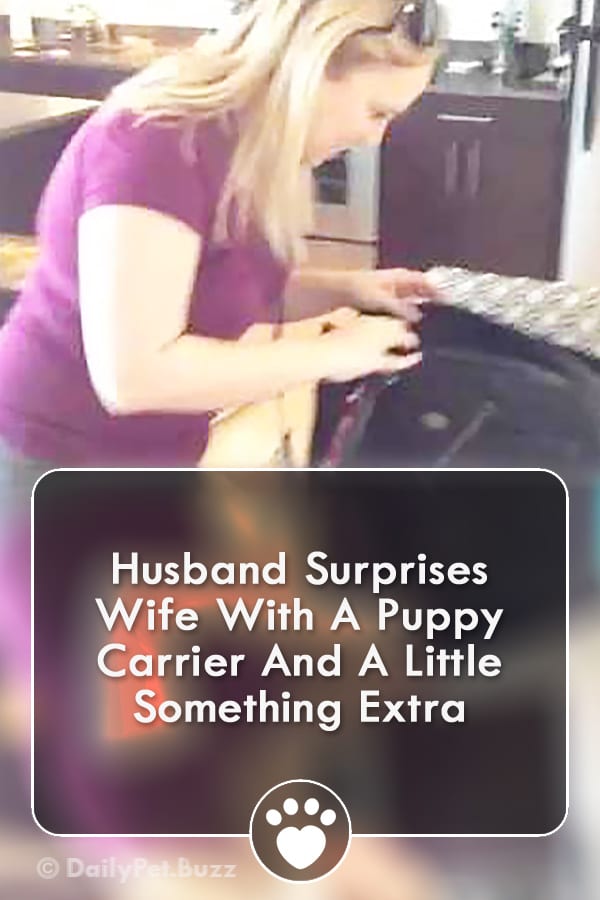 Husband Surprises Wife With A Puppy Carrier And A Little Something Extra