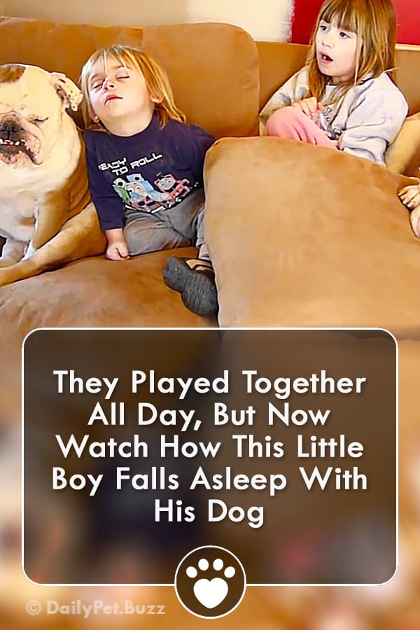 They Played Together All Day, But Now Watch How This Little Boy Falls Asleep With His Dog