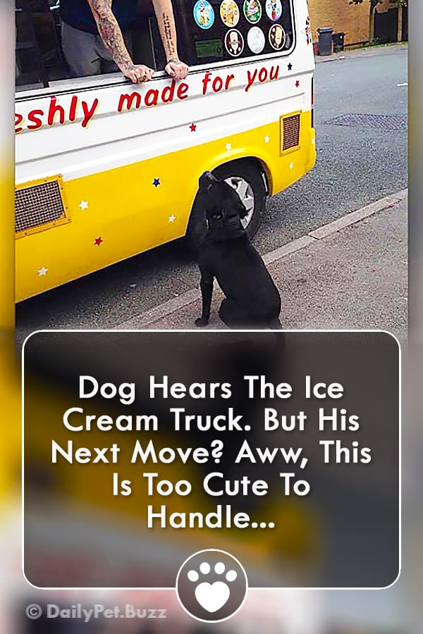 Dog Hears The Ice Cream Truck. But His Next Move? Aww, This Is Too Cute To Handle...