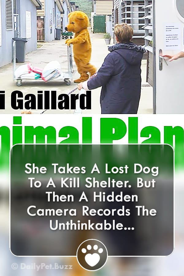 She Takes A Lost Dog To A Kill Shelter. But Then A Hidden Camera Records The Unthinkable...