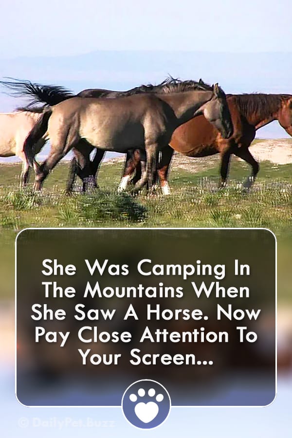 She Was Camping In The Mountains When She Saw A Horse. Now Pay Close Attention To Your Screen...