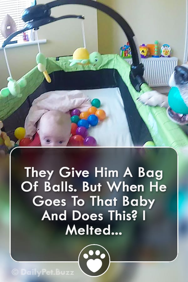 They Give Him A Bag Of Balls. But When He Goes To That Baby And Does This? I Melted...