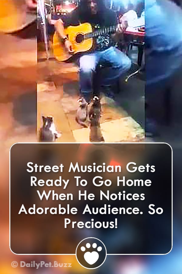 Street Musician Gets Ready To Go Home When He Notices Adorable Audience. So Precious!