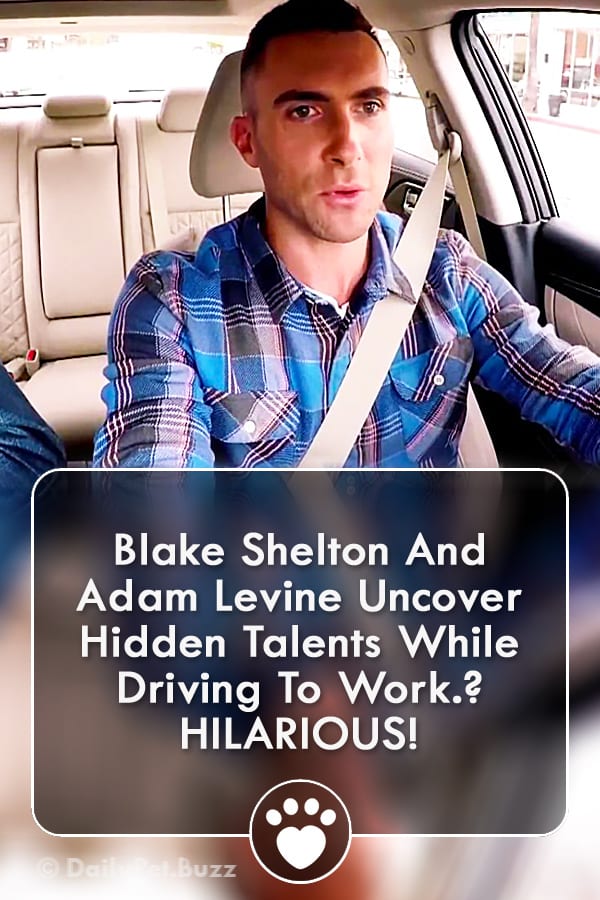 Blake Shelton And Adam Levine Uncover Hidden Talents While Driving To Work? HILARIOUS!