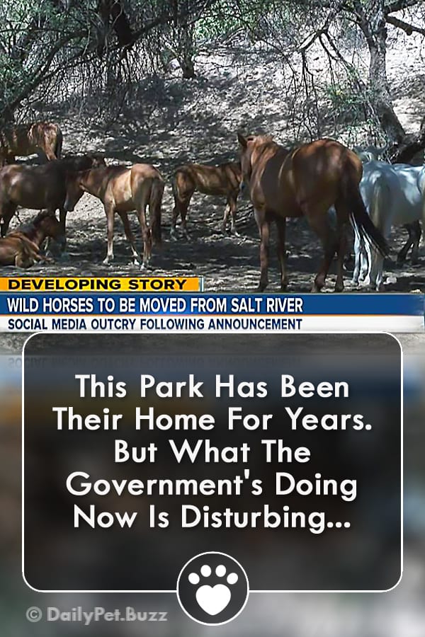This Park Has Been Their Home For Years. But What The Government\'s Doing Now Is Disturbing...