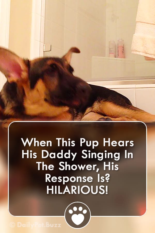 When This Pup Hears His Daddy Singing In The Shower, His Response Is? HILARIOUS!
