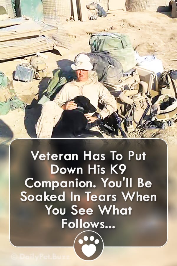 Veteran Has To Put Down His K9 Companion. You\'ll Be Soaked In Tears When You See What Follows...