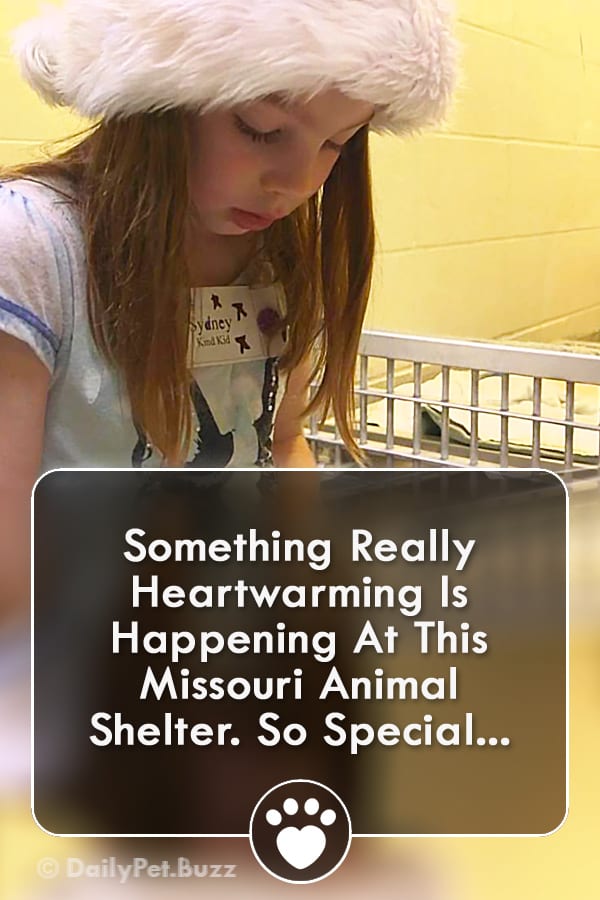 Something Really Heartwarming Is Happening At This Missouri Animal Shelter. So Special...