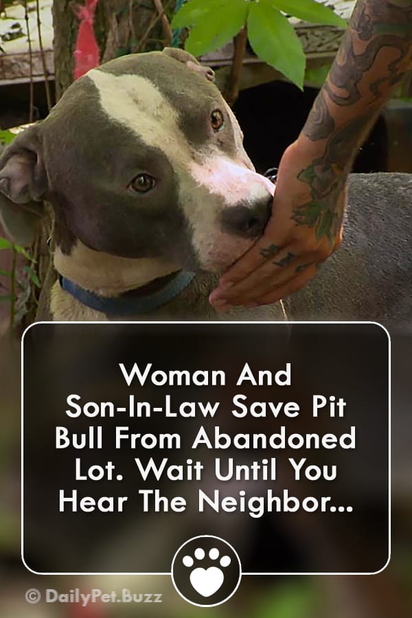 Woman And Son-In-Law Save Pit Bull From Abandoned Lot. Wait Until You Hear The Neighbor...