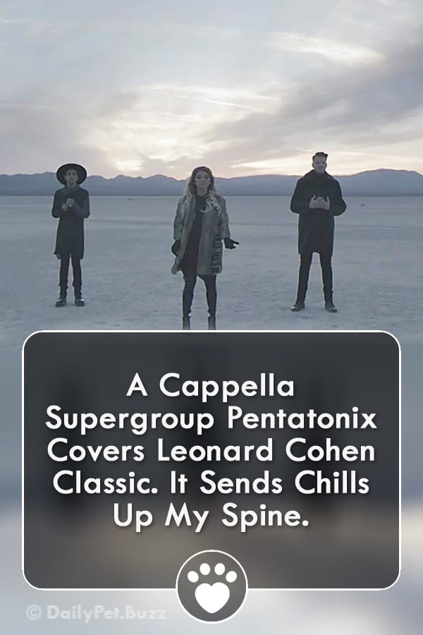 A Cappella Supergroup Pentatonix Covers Leonard Cohen Classic. It Sends Chills Up My Spine.