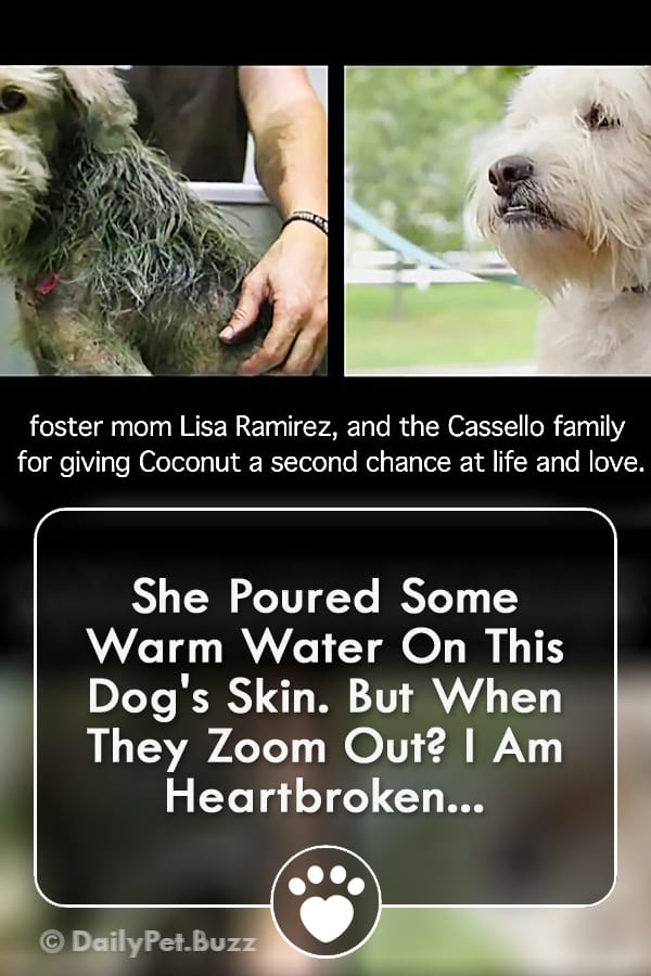 She Poured Some Warm Water On This Dog\'s Skin. But When They Zoom Out? I Am Heartbroken...