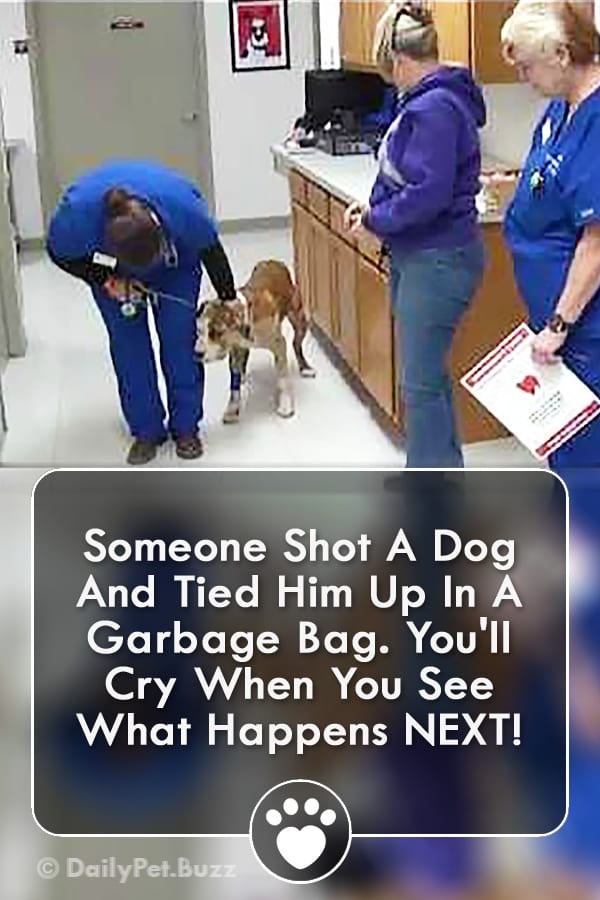 Someone Shot A Dog And Tied Him Up In A Garbage Bag. You\'ll Cry When You See What Happens NEXT!