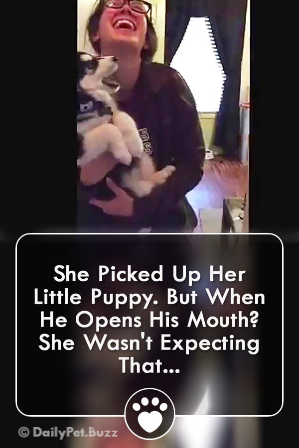 She Picked Up Her Little Puppy. But When He Opens His Mouth? She Wasn\'t Expecting That...