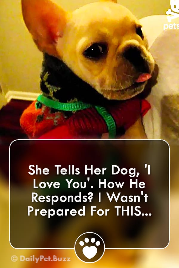 She Tells Her Dog, \'I Love You\'. How He Responds? I Wasn\'t Prepared For THIS...