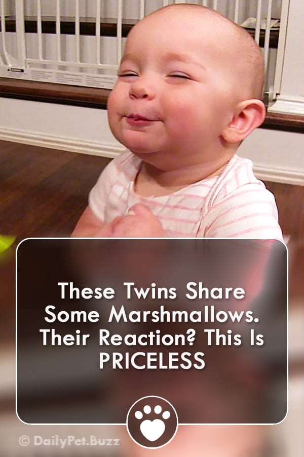 These Twins Share Some Marshmallows. Their Reaction? This Is PRICELESS