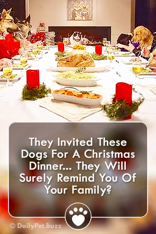 They Invited These Dogs For A Christmas Dinner... They Will Surely Remind You Of Your Family?