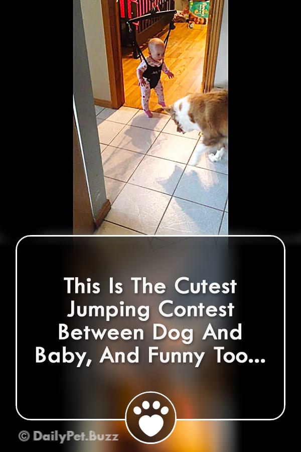 This Is The Cutest Jumping Contest Between Dog And Baby, And Funny Too...