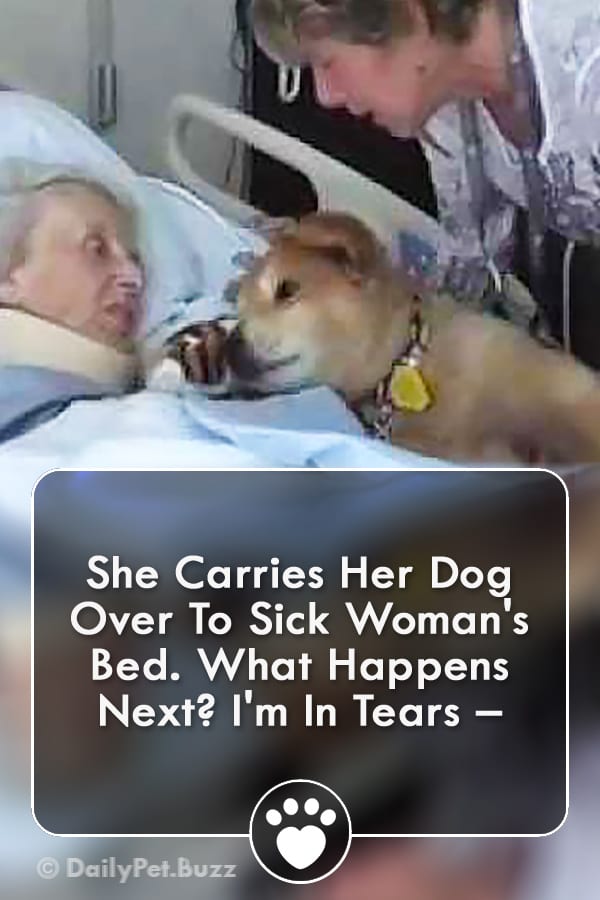 She Carries Her Dog Over To Sick Woman\'s Bed. What Happens Next? I\'m In Tears –