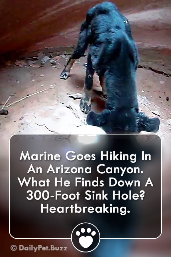Marine Goes Hiking In An Arizona Canyon. What He Finds Down A 300-Foot Sink Hole? Heartbreaking.