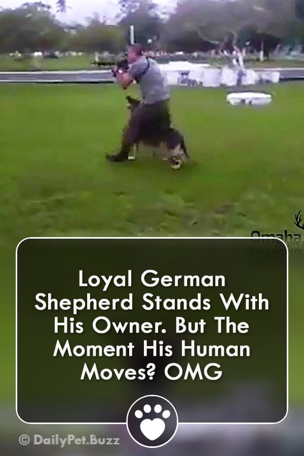 Loyal German Shepherd Stands With His Owner. But The Moment His Human Moves? OMG