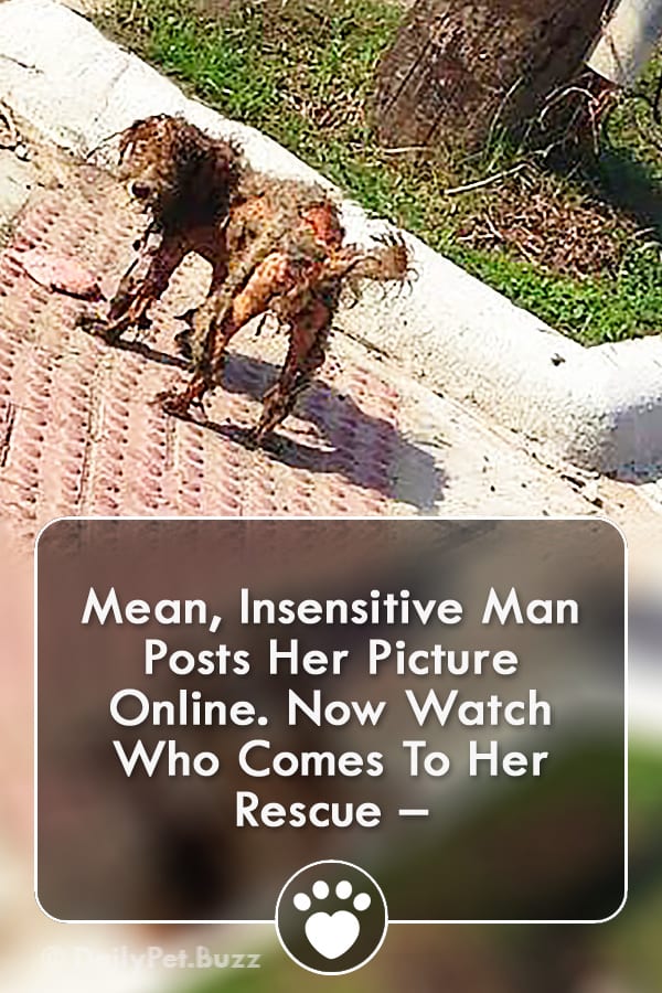 Mean, Insensitive Man Posts Her Picture Online. Now Watch Who Comes To Her Rescue –