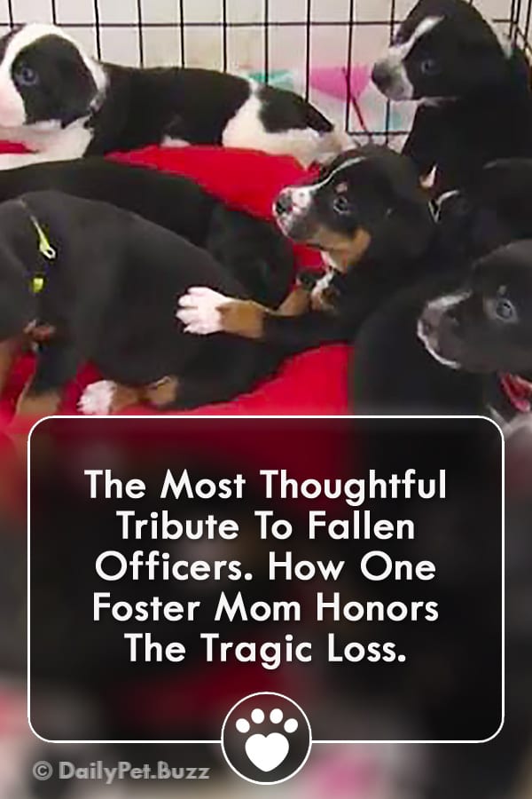 The Most Thoughtful Tribute To Fallen Officers. How One Foster Mom Honors The Tragic Loss.