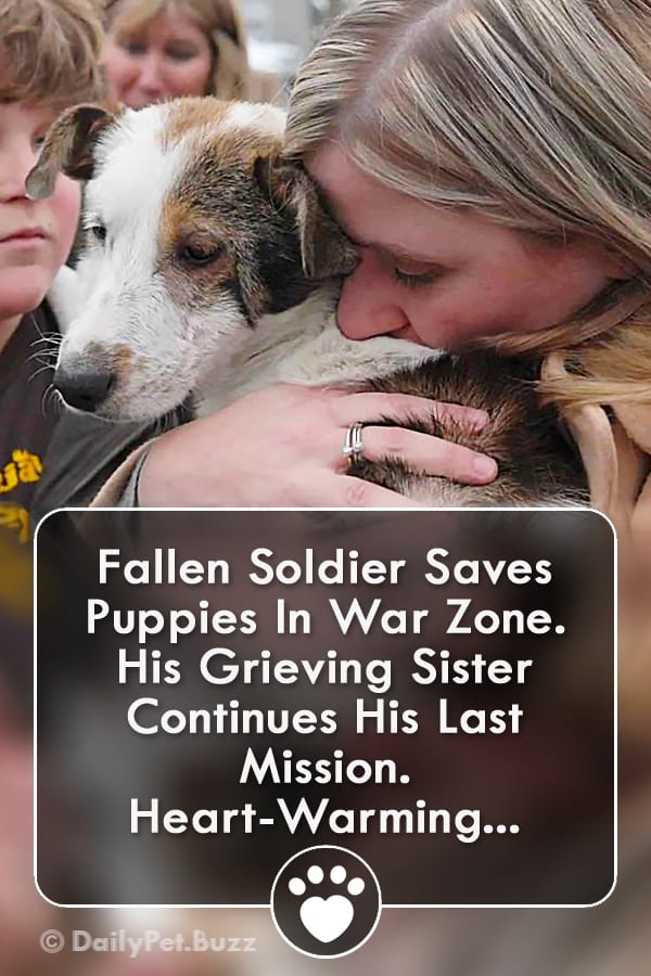 Fallen Soldier Saves Puppies In War Zone. His Grieving Sister Continues His Last Mission. Heart-Warming...