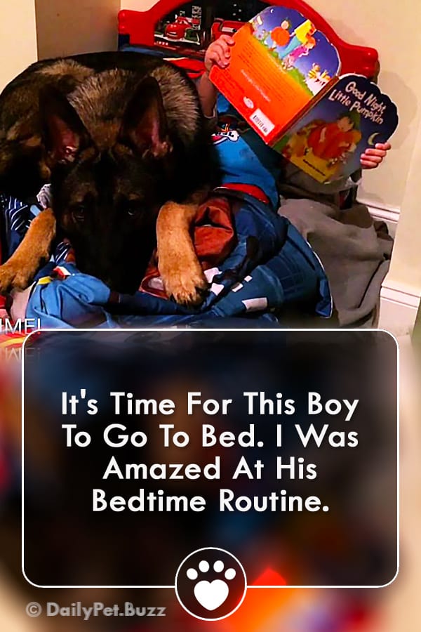 It\'s Time For This Boy To Go To Bed. I Was Amazed At His Bedtime Routine.
