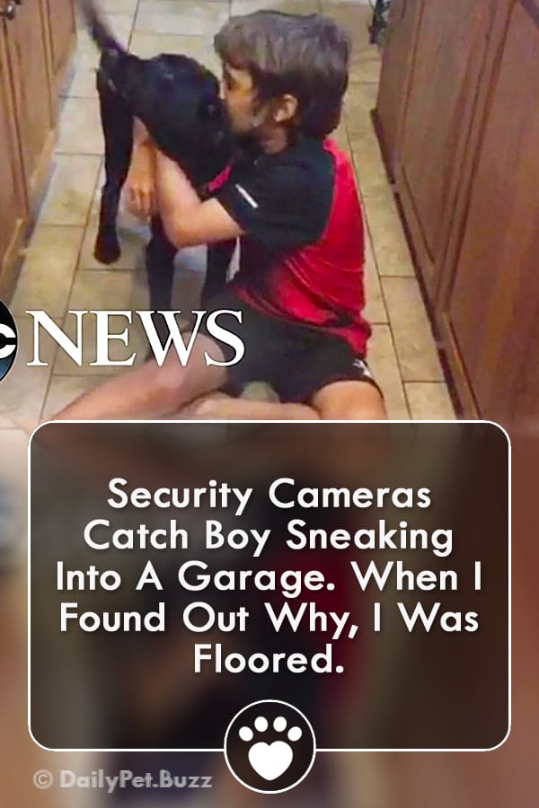 Security Cameras Catch Boy Sneaking Into A Garage. When I Found Out Why, I Was Floored.