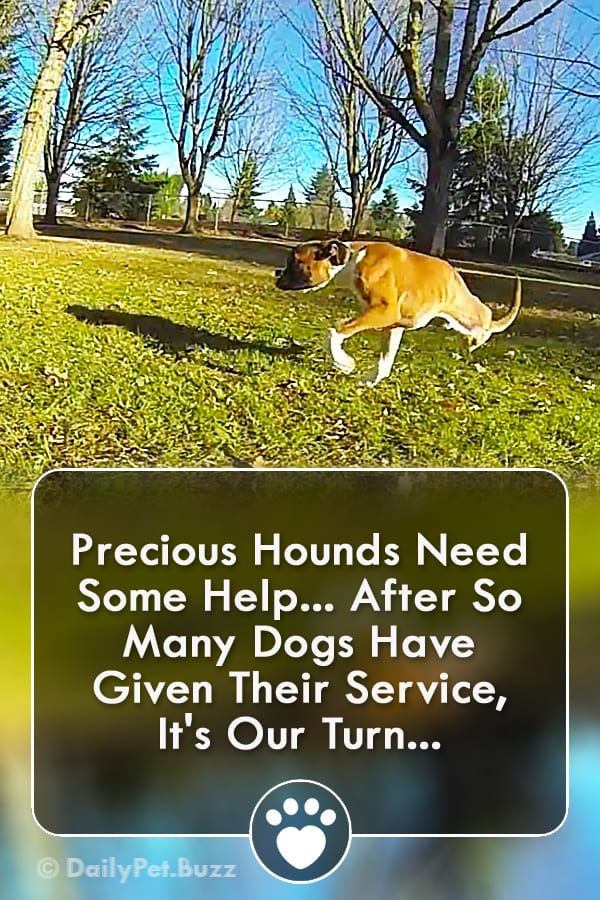 Precious Hounds Need Some Help... After So Many Dogs Have Given Their Service, It\'s Our Turn...