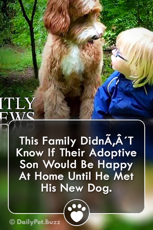 This Family DidnÃ‚Â´T Know If Their Adoptive Son Would Be Happy At Home Until He Met His New Dog.
