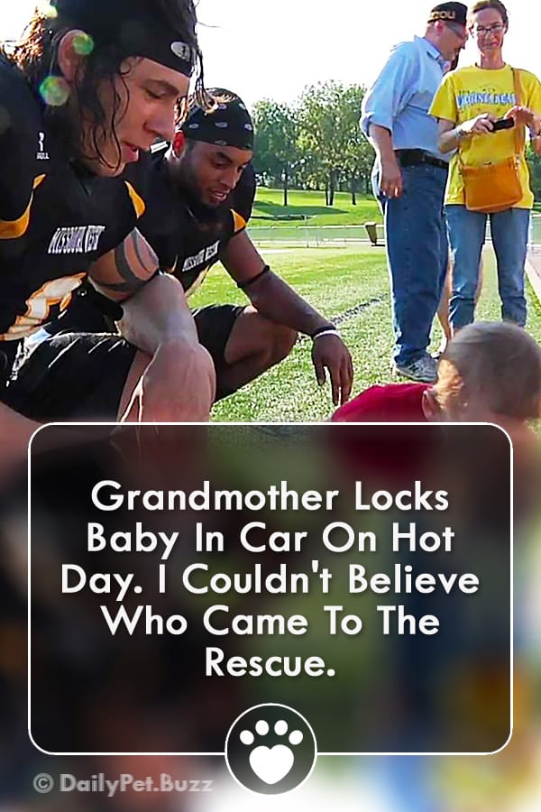 Grandmother Locks Baby In Car On Hot Day. I Couldn\'t Believe Who Came To The Rescue.
