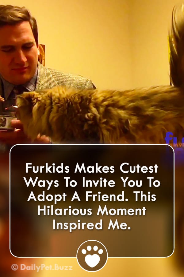 Furkids Makes Cutest Ways To Invite You To Adopt A Friend. This Hilarious Moment Inspired Me.