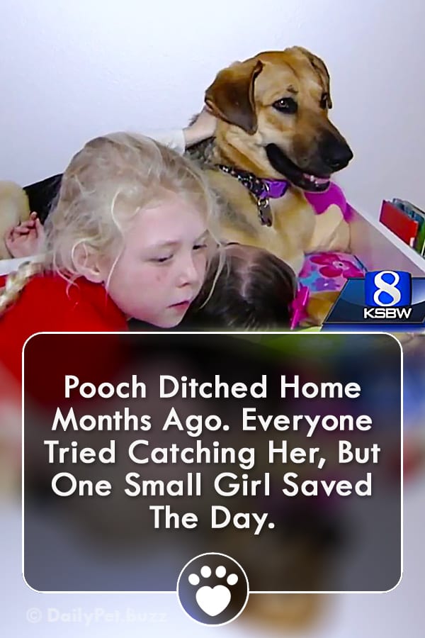 Pooch Ditched Home Months Ago. Everyone Tried Catching Her, But One Small Girl Saved The Day.