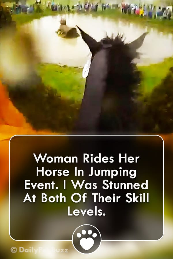 Woman Rides Her Horse In Jumping Event. I Was Stunned At Both Of Their Skill Levels.