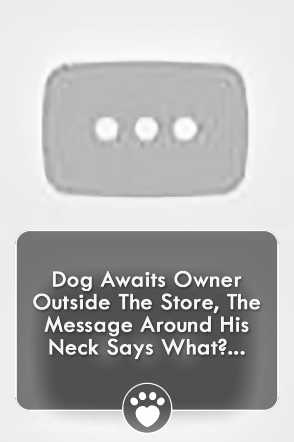 Dog Awaits Owner Outside The Store, The Message Around His Neck Says What?...