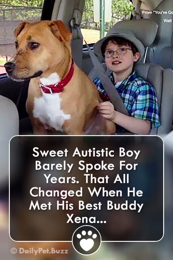 Sweet Autistic Boy Barely Spoke For Years. That All Changed When He Met His Best Buddy Xena...