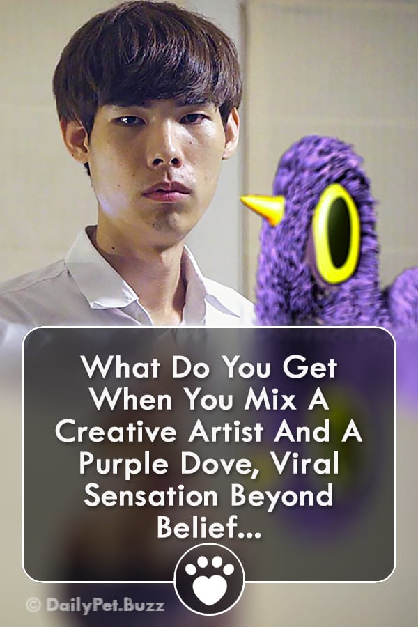 What Do You Get When You Mix A Creative Artist And A Purple Dove, Viral Sensation Beyond Belief...
