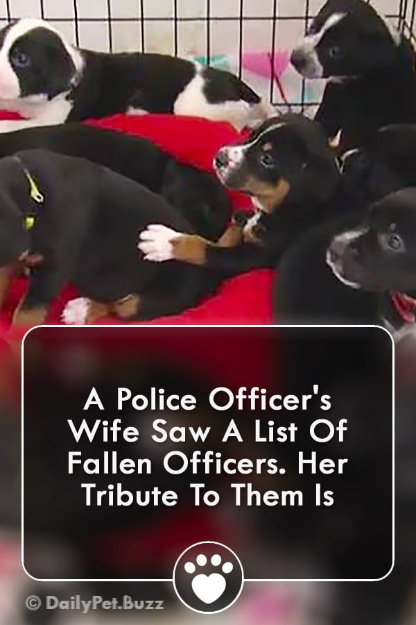 A Police Officer\'s Wife Saw A List Of Fallen Officers. Her Tribute To Them Is