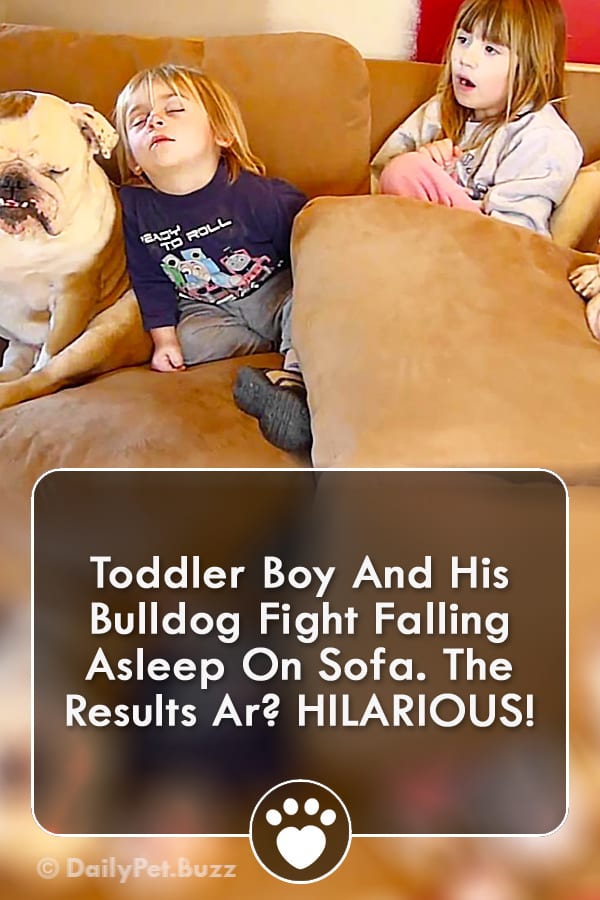 Toddler Boy And His Bulldog Fight Falling Asleep On Sofa. The Results Ar? HILARIOUS!