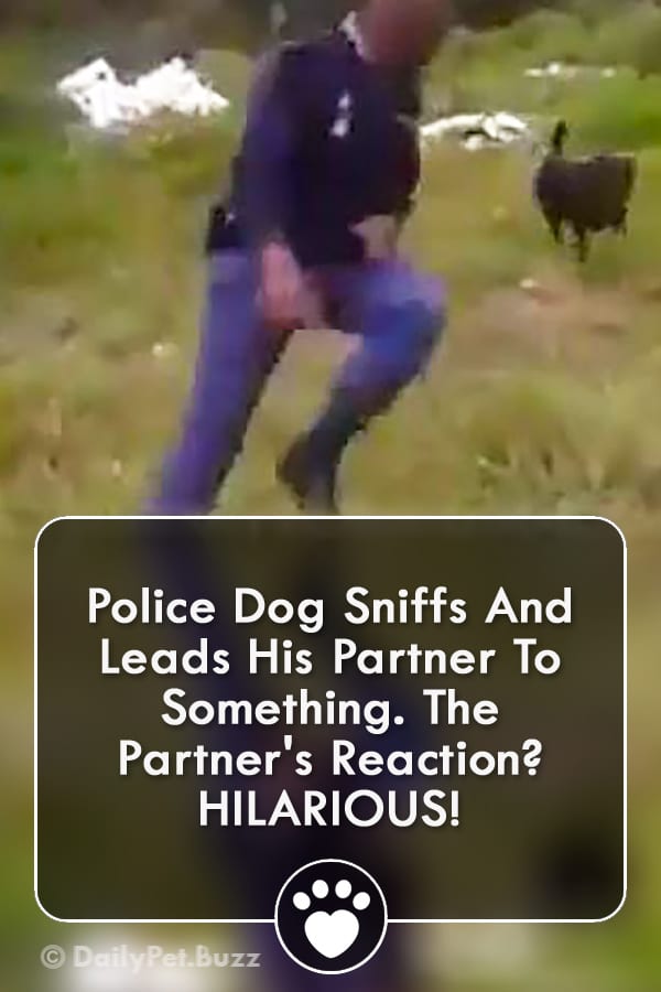 Police Dog Sniffs And Leads His Partner To Something. The Partner\'s Reaction? HILARIOUS!
