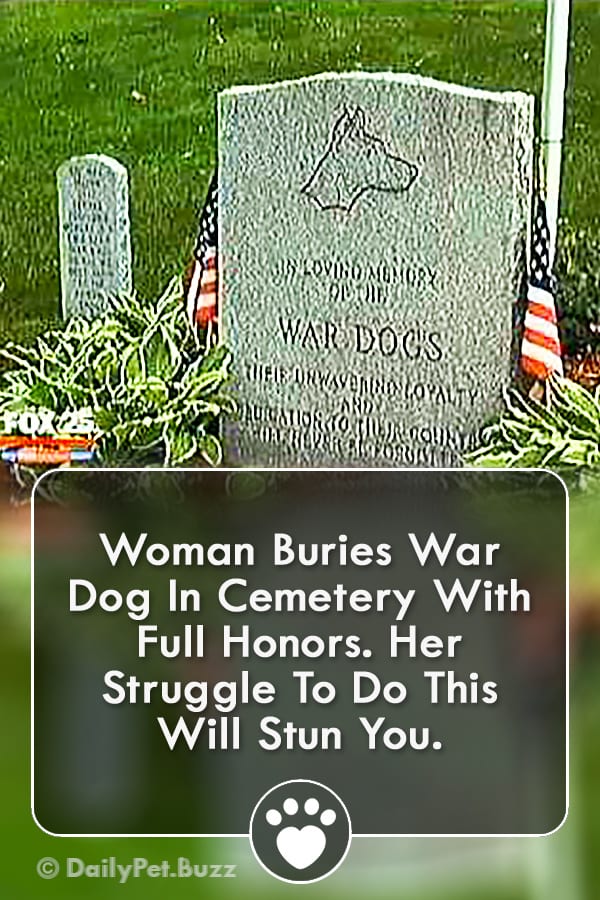Woman Buries War Dog In Cemetery With Full Honors. Her Struggle To Do This Will Stun You.