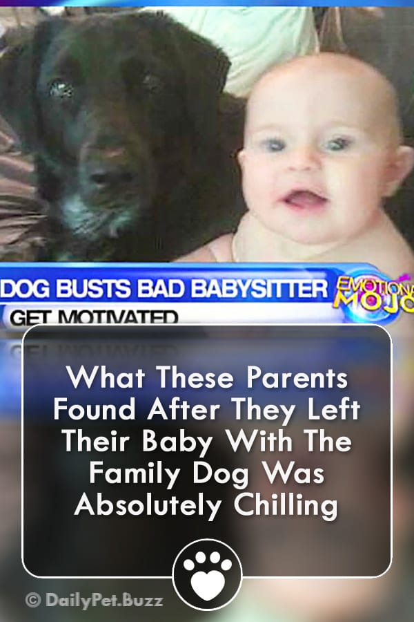 What These Parents Found After They Left Their Baby With The Family Dog Was Absolutely Chilling