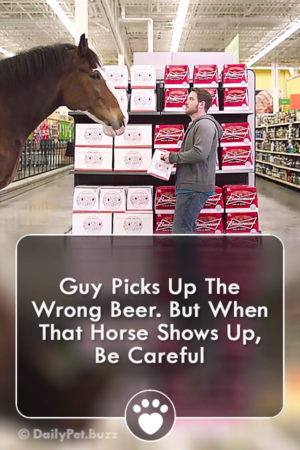 Guy Picks Up The Wrong Beer. But When That Horse Shows Up, Be Careful